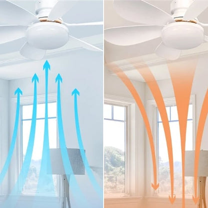 BreezeGlow – Ventilador de Techo de Casquillo con Iluminación LED Ajustable