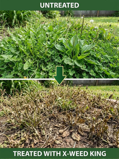 RootRevive – Tratamiento para la Protección Radicular de Jardines