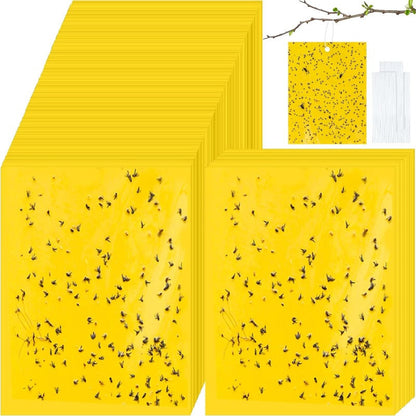InsectLock – Trampas para plagas ultraadhesivas