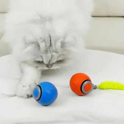 CatChase – Elektrischer rollender Ball