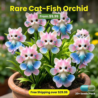 FloraRare – Wels-Orchideen-Samenpaket