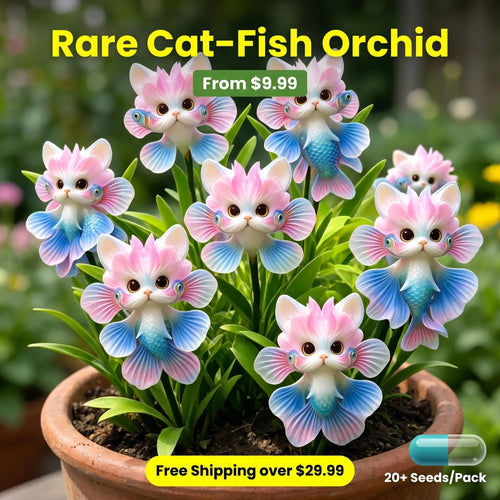 FloraRare – Wels-Orchideen-Samenpaket