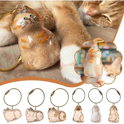 PawMemory – Set de llaveros conmemorativos para gatos