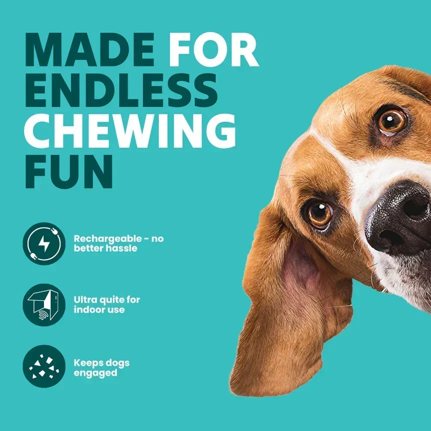 AuraBuddy – Das smarte, hüpfende Hunde-Spielzeug für die Jagd