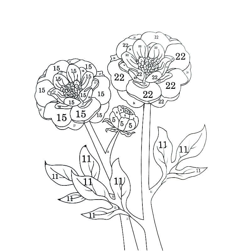 QuietCanvas – Libro para colorear terapéutico para adultos