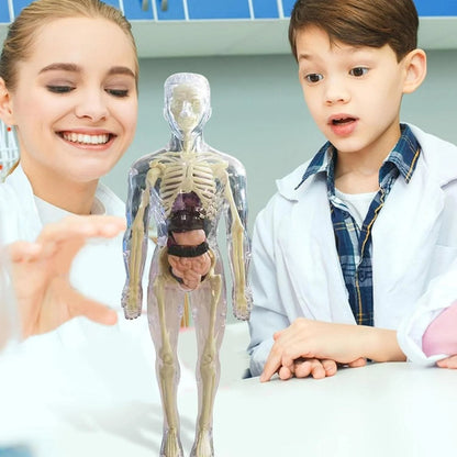 SmartSkeleton – Divertido modelo anatómico Stem para niños