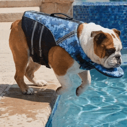 AquaPaw – Hochauftriebs-Schwimmweste für Hunde