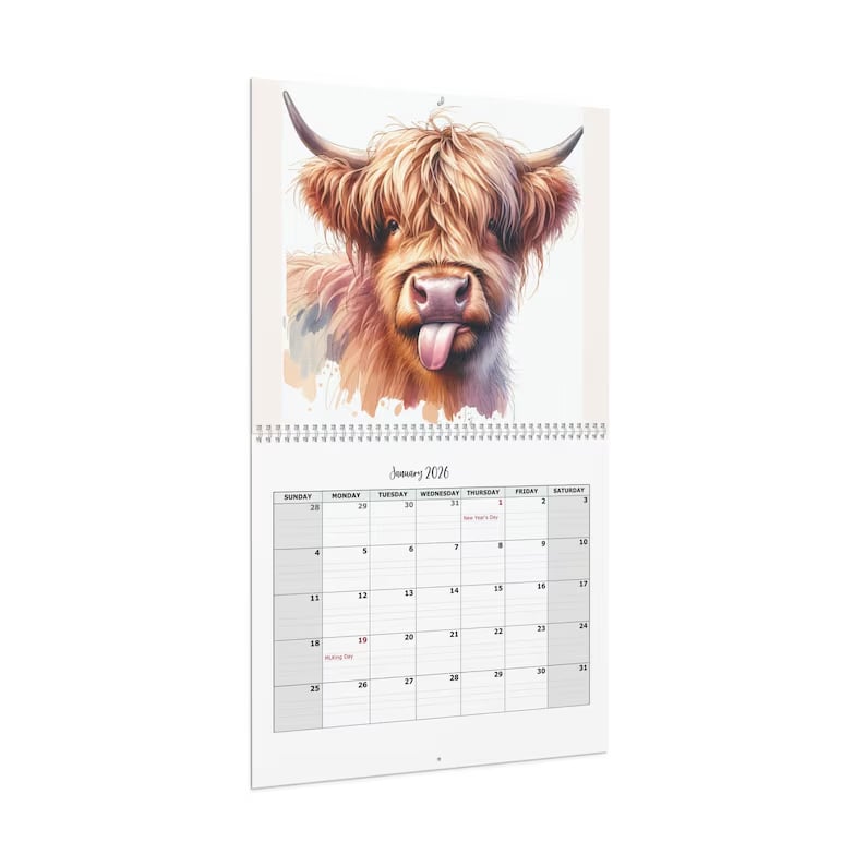 HighlandHugs – Calendario de pared de vaca de las Tierras Altas 2026