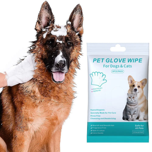 PawComfort – Solución de aseo sin enjuague