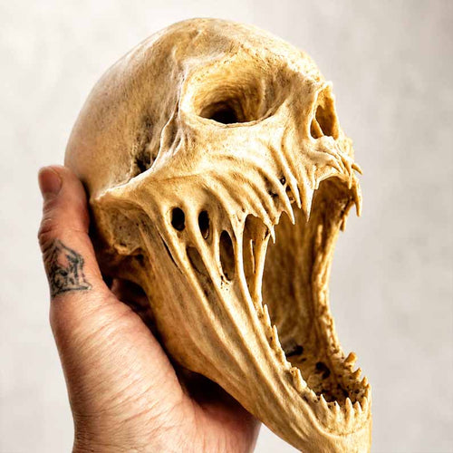 DreadHollow – Escultura del coleccionista de calaveras