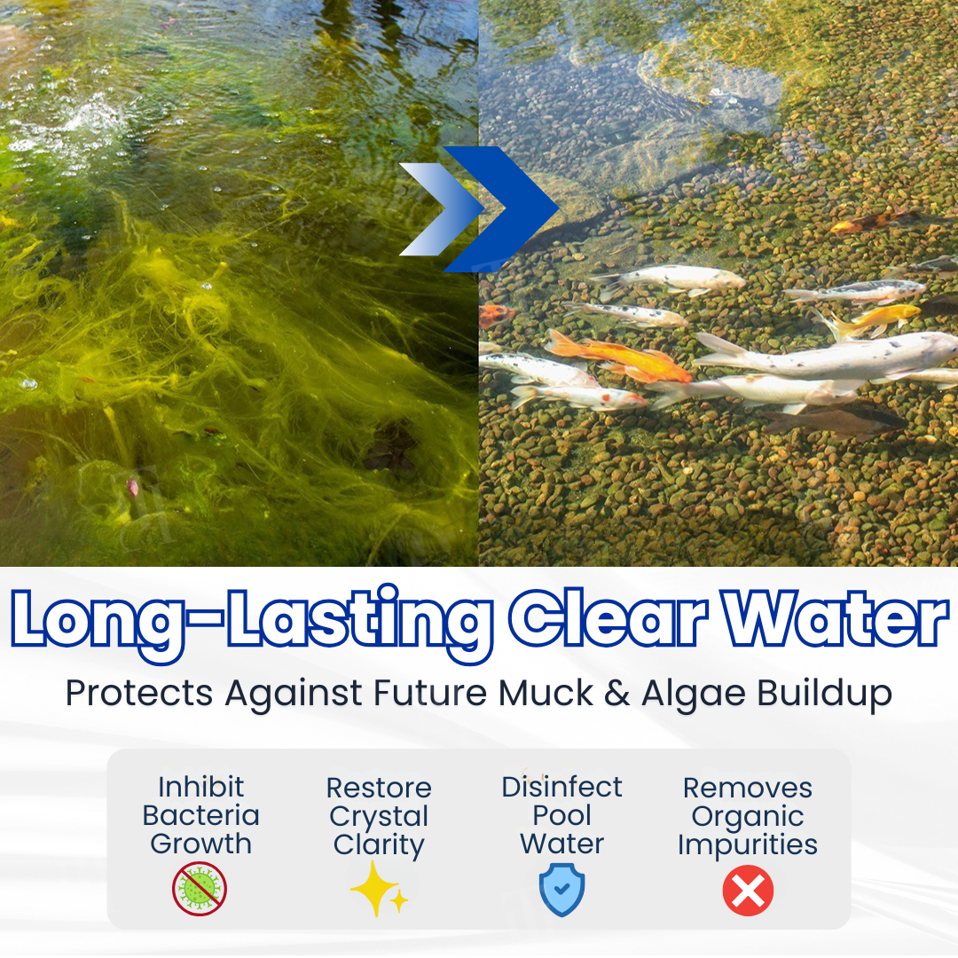 ✨ Grünes Wasser in einer Nacht klar! | ⏱️ Kristallklar in 24 Stunden! | LOVILDS® Aqua-Guardian Pro-Formel