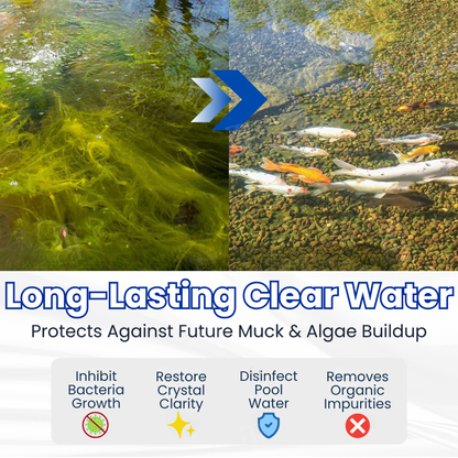 ✨ Grünes Wasser in einer Nacht klar! | ⏱️ Kristallklar in 24 Stunden! | LOVILDS® Aqua-Guardian Pro-Formel