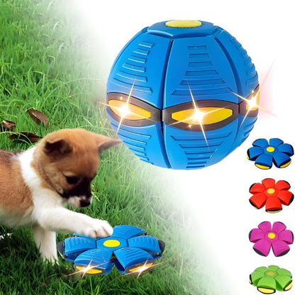 ¡El mejor juguete interactivo 2 en 1 del mundo para mantener a tu perro entretenido durante horas!
