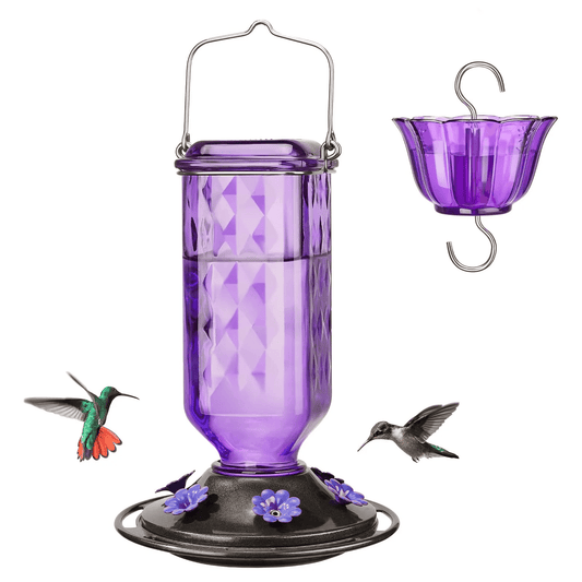 BloomNest – Comedero de néctar para colibríes