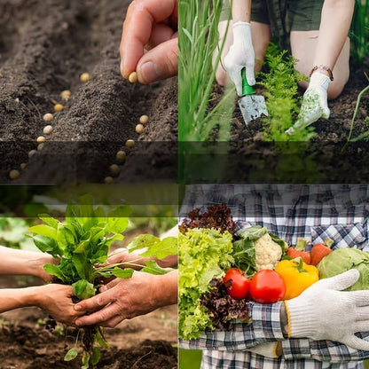 🥦Ultimativer Notvorrat an Saatgut (16.000+ Samen) | 35-Sorten-Paket🌿|50 Jahre Haltbarkeit