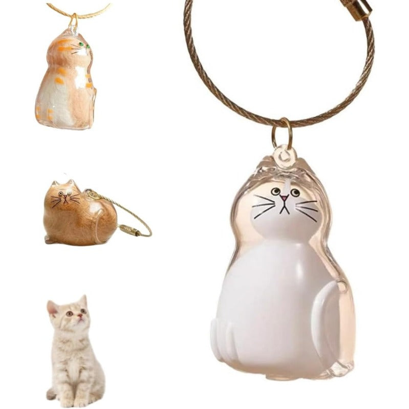 PawMemory – Set de llaveros conmemorativos para gatos