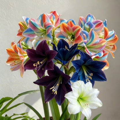 FloraCrown – Bulbos de lujo