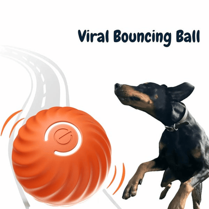 BarkBounce - Pelota interactiva para jugar con perros