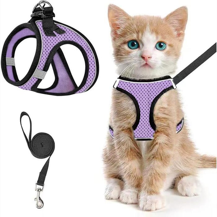 PawFit – Arnés y Correa Ajustable para Mascotas