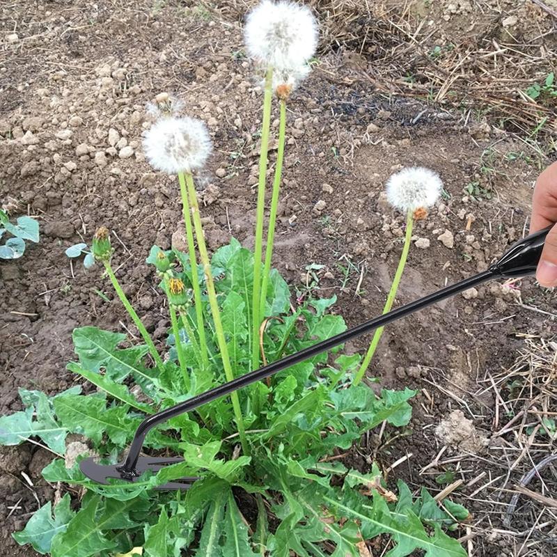 🔥Unkrautstecher für den Garten zum Wurzelentfernen