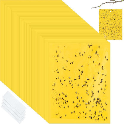 InsectLock – Trampas para plagas ultraadhesivas