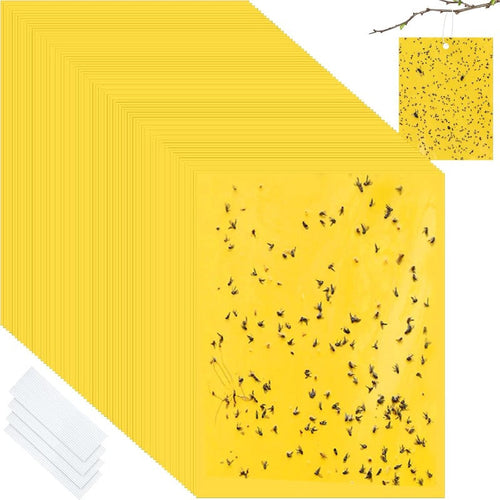 InsectLock – Trampas para plagas ultraadhesivas