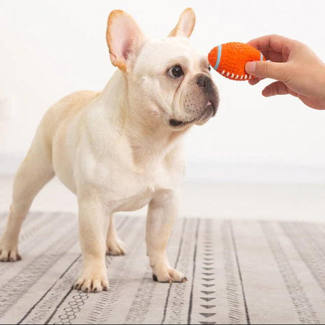 ToughPaw – Robuster Kausball für Hunde