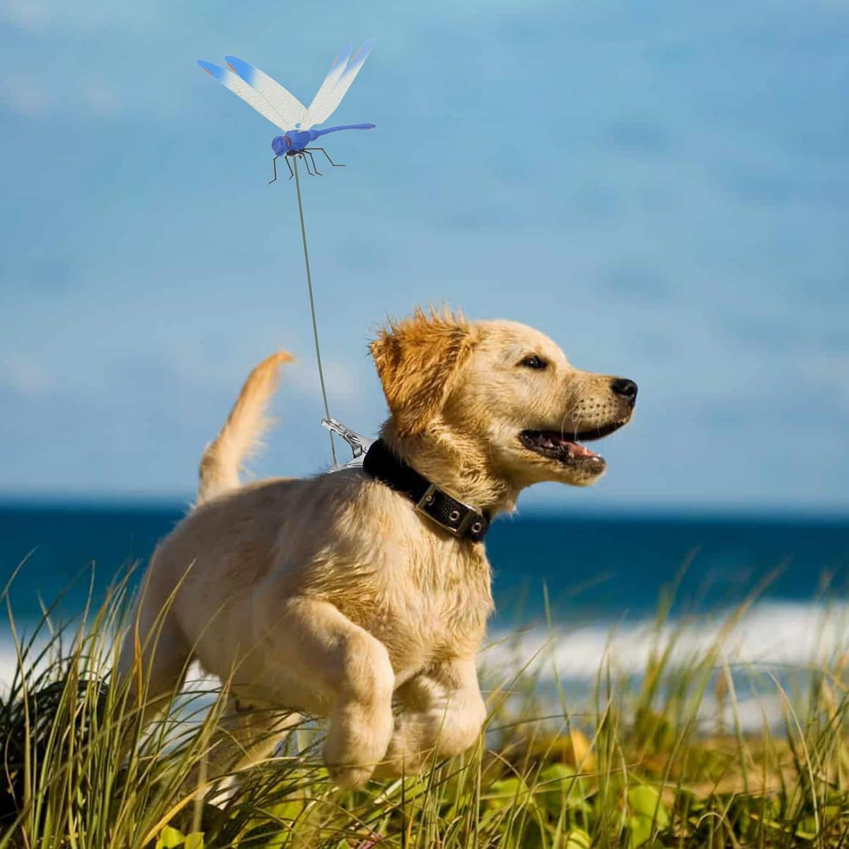 AeroShield – Libellen-Insektenschutz