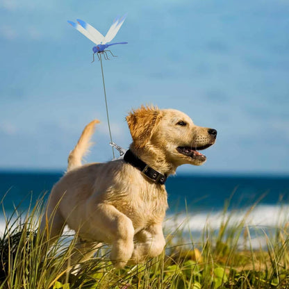 AeroShield – Libellen-Insektenschutz