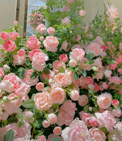 RoseCascade – Bulbos de Rosal Trepador Premium