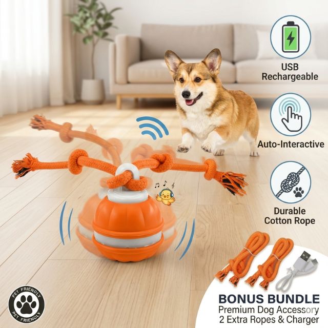WagRoll – Bewegungsaktivierter Haustierball
