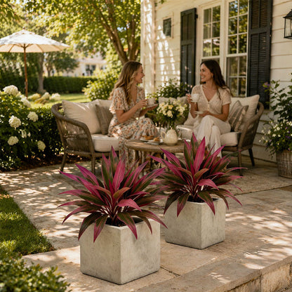 EverLeaf – Decoración Artificial Realista de Ti Plant