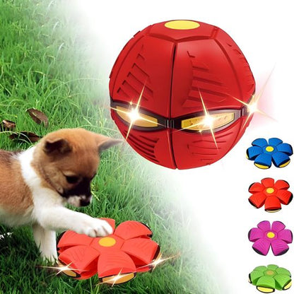 ¡El mejor juguete interactivo 2 en 1 del mundo para mantener a tu perro entretenido durante horas!