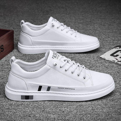 Freizeitschuhe aus echtem Leder | ALEVITA