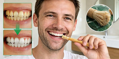 PureMiswak – Palos de cepillo de dientes naturales