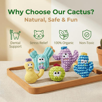 CatnipCove - Colección de juguetes de cactus