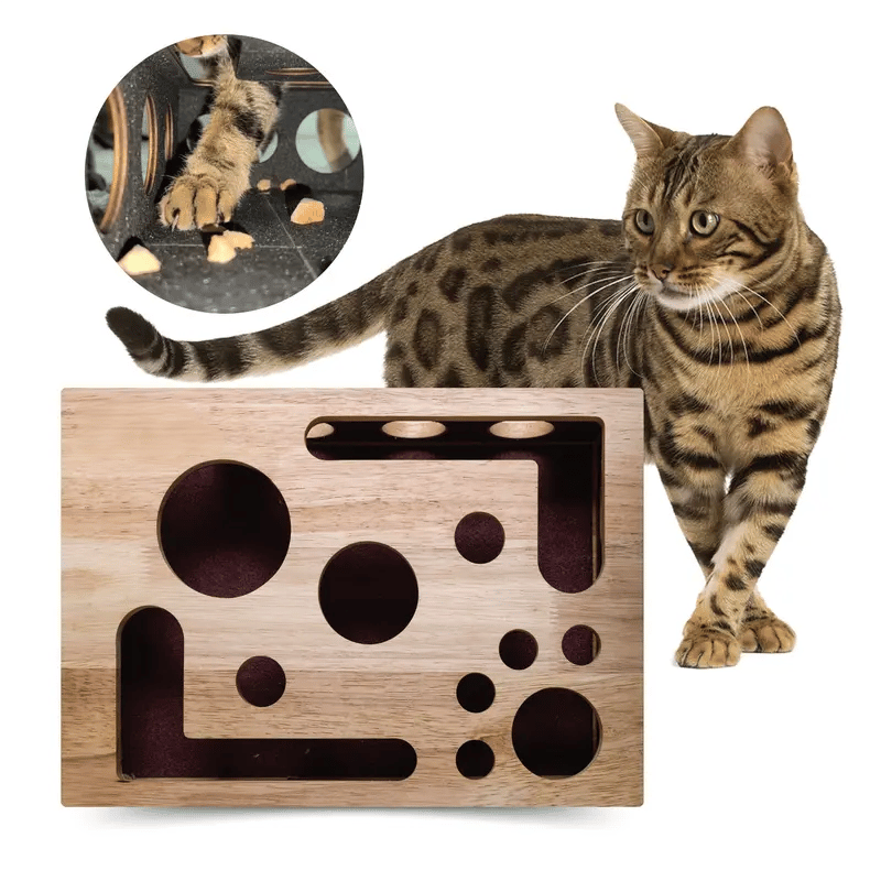 PawPuzzle – Caja de enriquecimiento para gatos con rascador y juego
