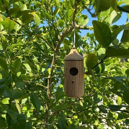 NatureSip – Comedero de colibríes de madera para amantes de la jardinería