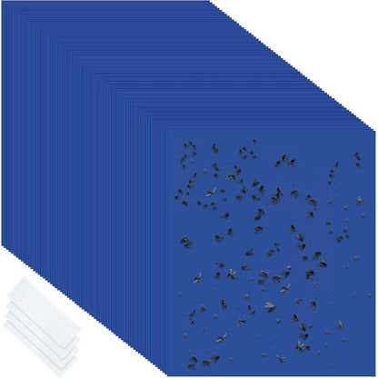 InsectLock – Trampas para plagas ultraadhesivas