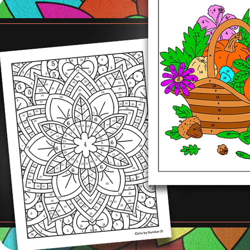 QuietCanvas – Libro para colorear terapéutico para adultos