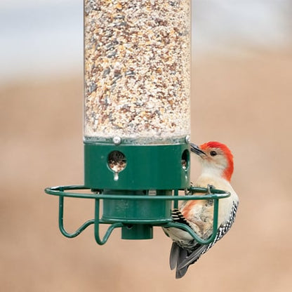 SeedGuard – Intelligentes hängendes Vogelfutterhaus