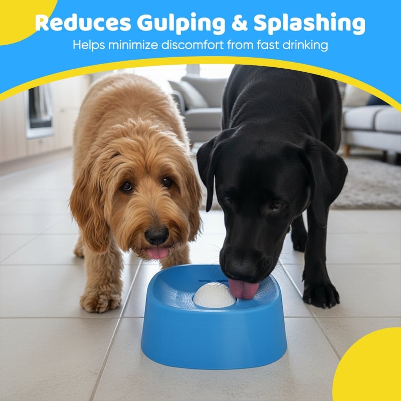 SipGuard – Cuenco de Agua Controlado para Mascotas