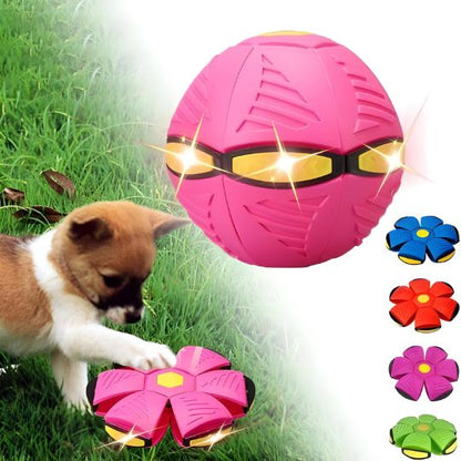 ¡El mejor juguete interactivo 2 en 1 del mundo para mantener a tu perro entretenido durante horas!