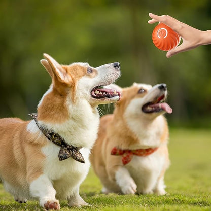 BarkBounce - Pelota interactiva para jugar con perros