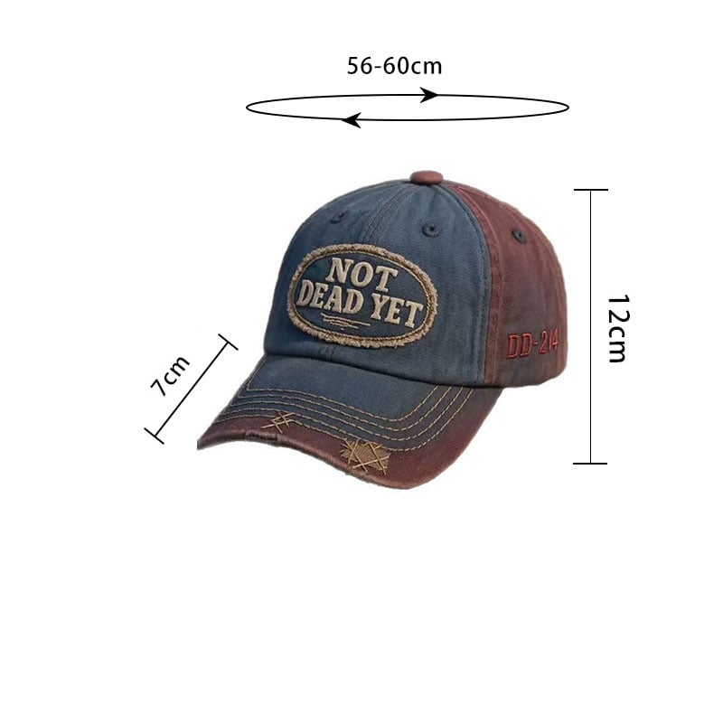 TitanCap – Gorra de béisbol de resistencia con lavado vintage