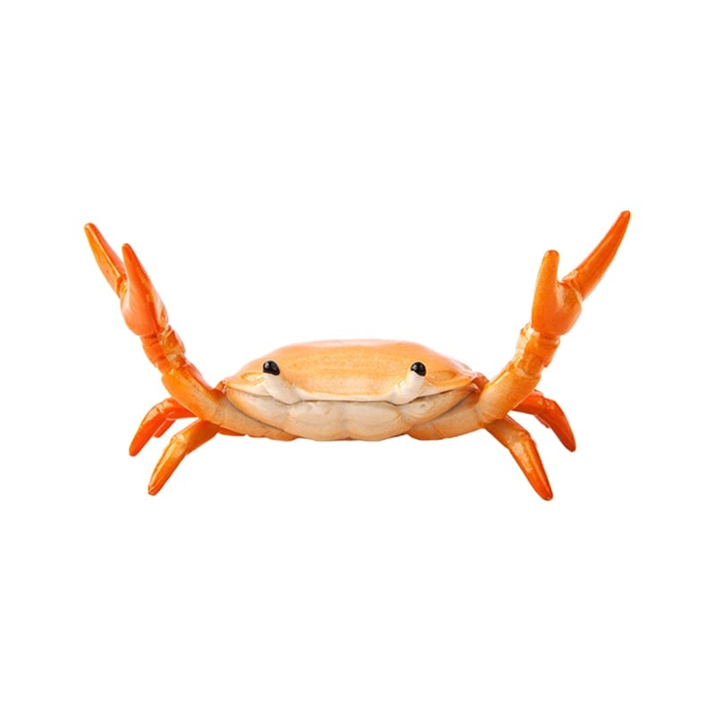 CrabFlex – Soporte de bolígrafo de cangrejo levantapesas