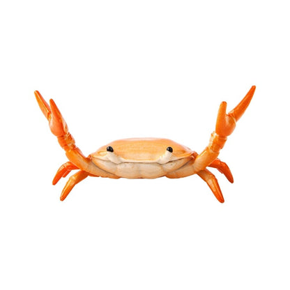CrabFlex – Soporte de bolígrafo de cangrejo levantapesas