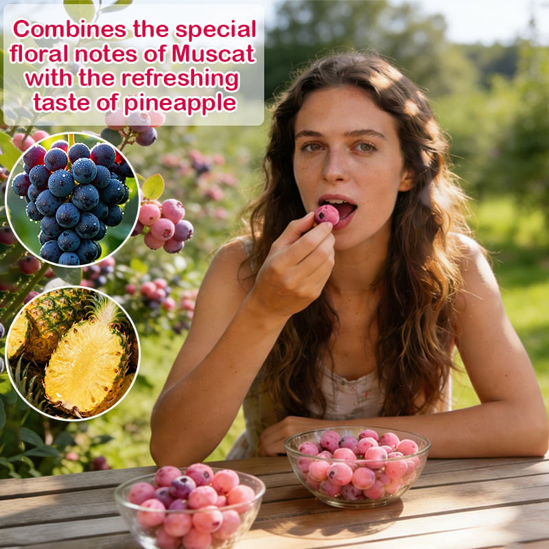 PinkDelight Berries – Semillas de Jardín Premium