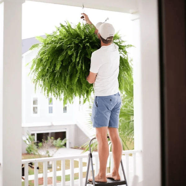 LeafLuxe – Helecho de Boston Artificial Realista con Protección UV