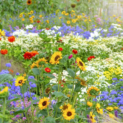FloraBurst – Colección de semillas de flores perennes mixtas